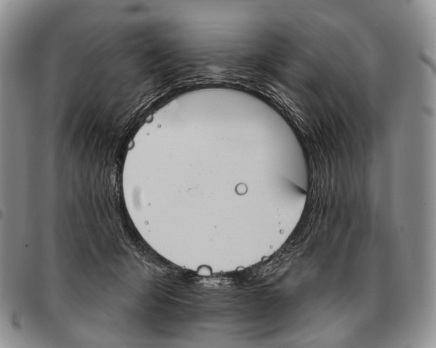 X0000096720415200803041406