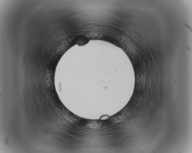 X0000096720416200803041406