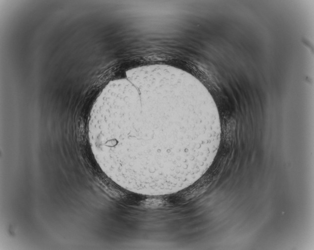 X0000096720418200803041406