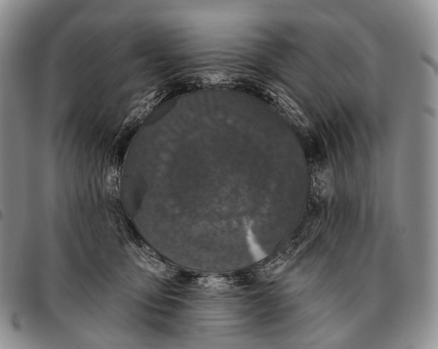 X0000096720419200803041406