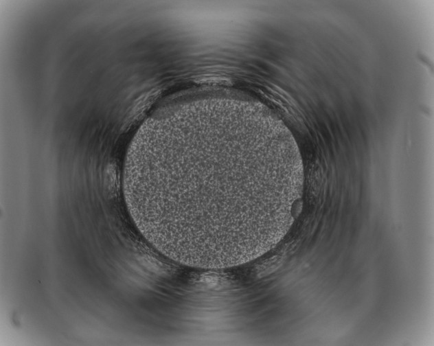 X0000096720420200803041405