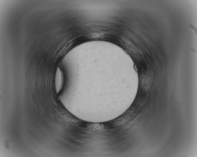 X0000096720421200803041405