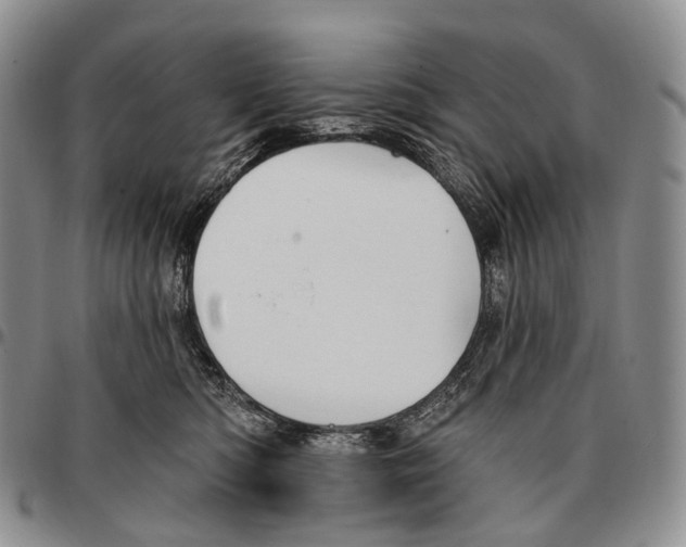 X0000096720422200803041405