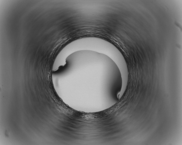 X0000096720423200803041405