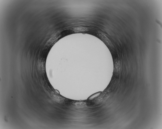 X0000096720426200803041405