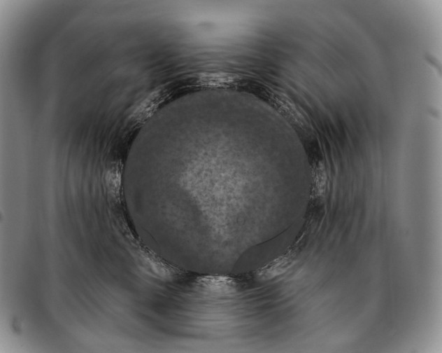 X0000096720427200803041405