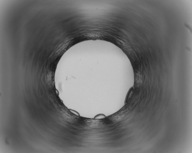 X0000096720428200803041405