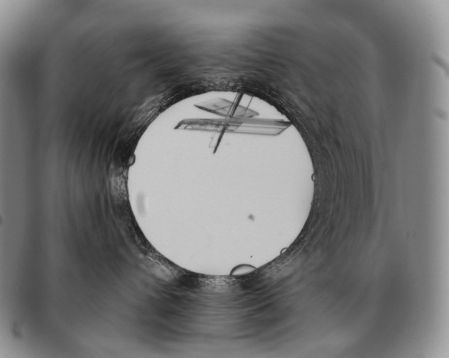 X0000096720432200803041405