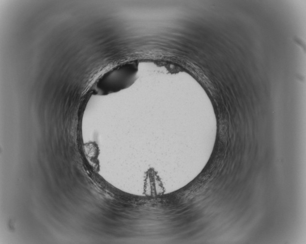 X0000096720434200803041405