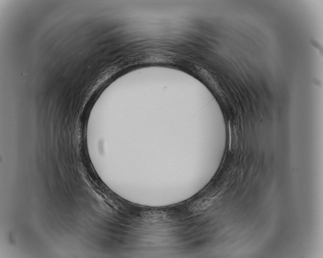 X0000096720435200803041405