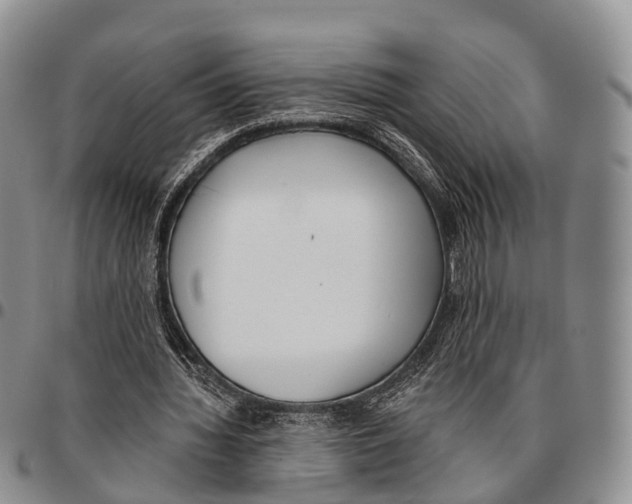 X0000096720436200803041405