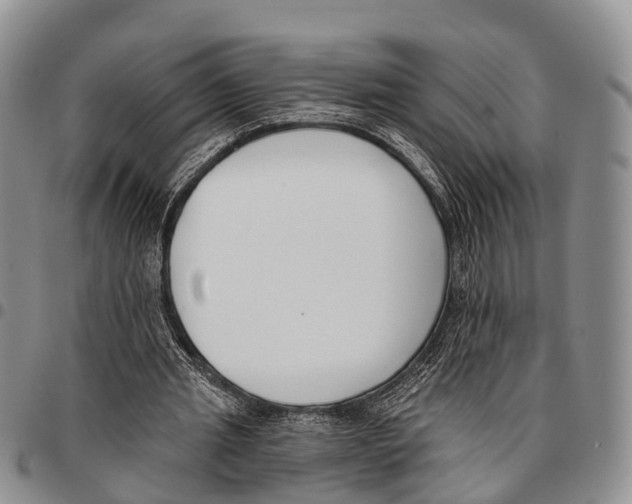 X0000096720437200803041405