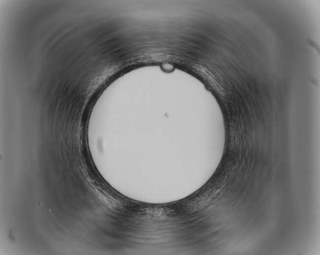 X0000096720439200803041405