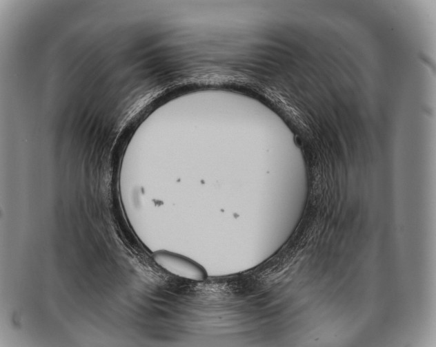 X0000096720440200803041405