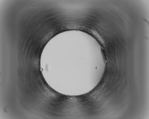 X0000096720441200803041405