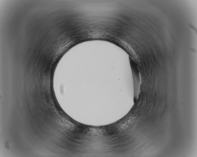 X0000096720442200803041405