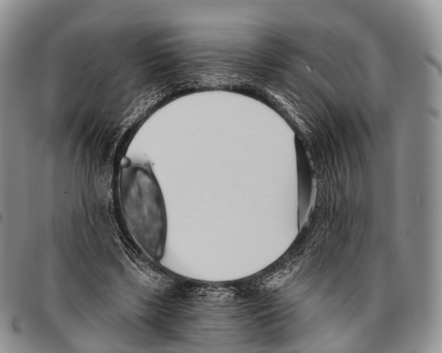 X0000096720443200803041405