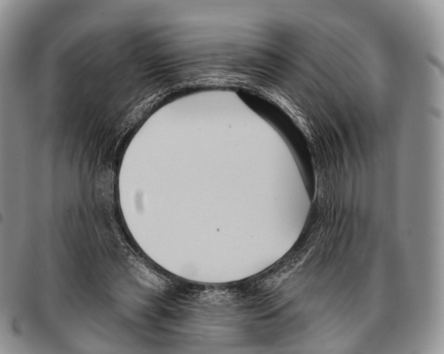 X0000096720445200803041405