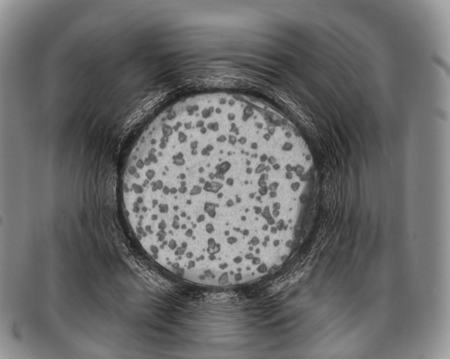 X0000096720446200803041405