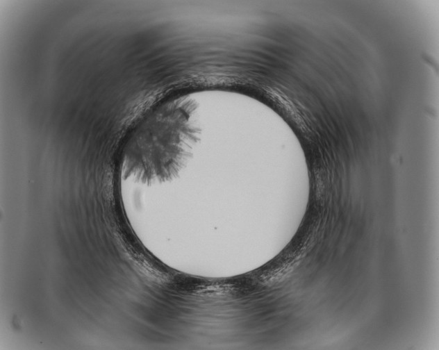 X0000096720447200803041405