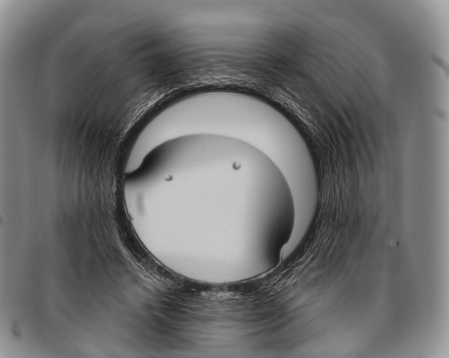 X0000096720448200803041405