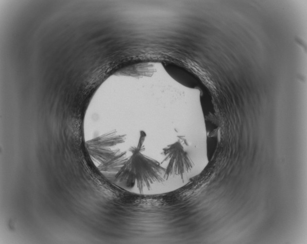 X0000096720449200803041405