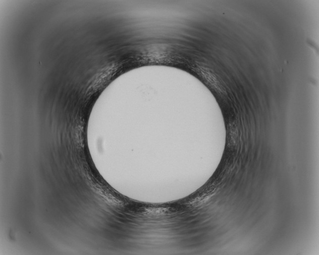 X0000096720450200803041405