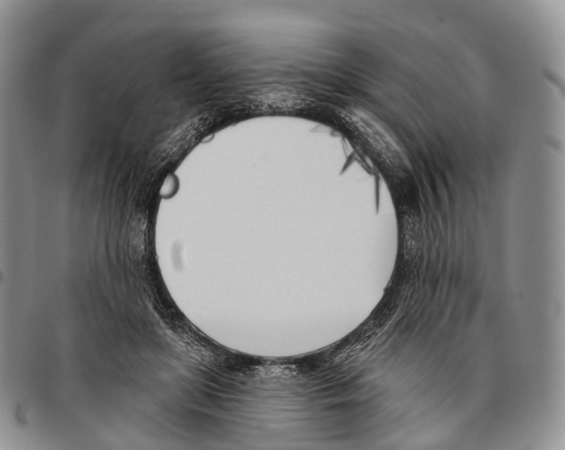 X0000096720451200803041405