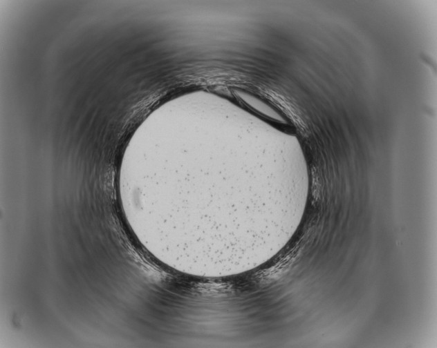 X0000096720453200803041405