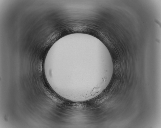 X0000096720454200803041405