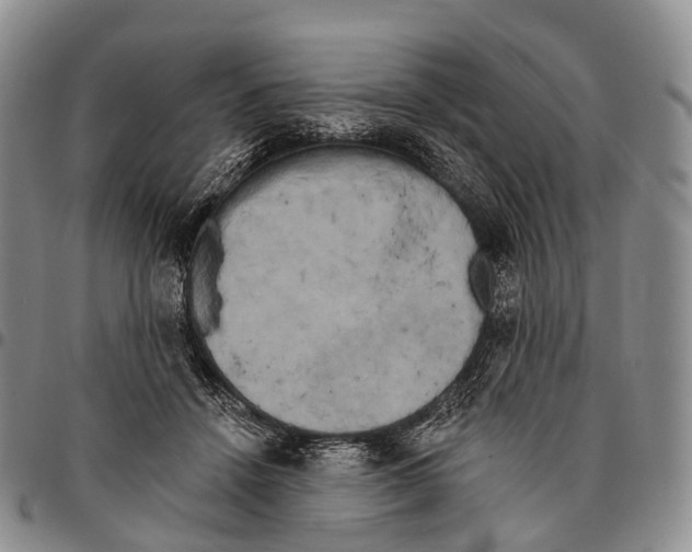 X0000096720456200803041405