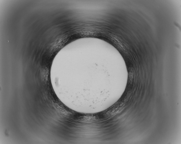 X0000096720458200803041405