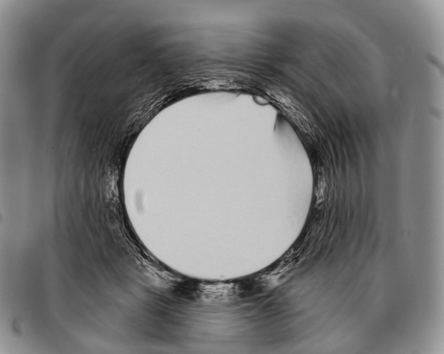 X0000096720461200803041405