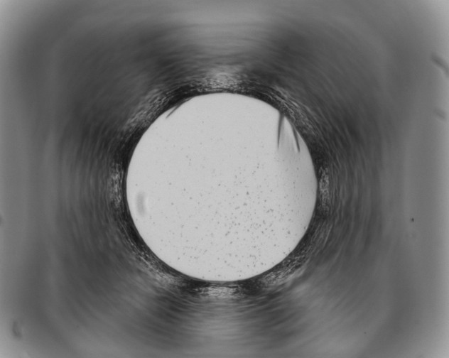 X0000096720462200803041405