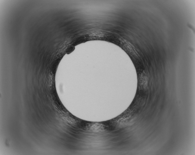 X0000096720463200803041405