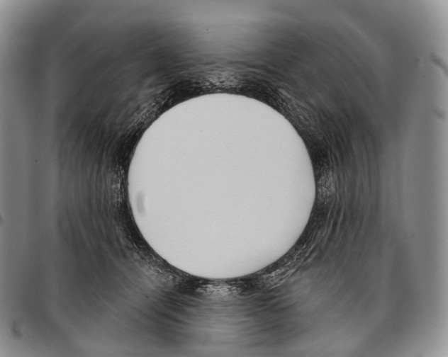 X0000096720464200803041405