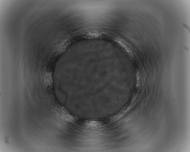 X0000096720467200803041405