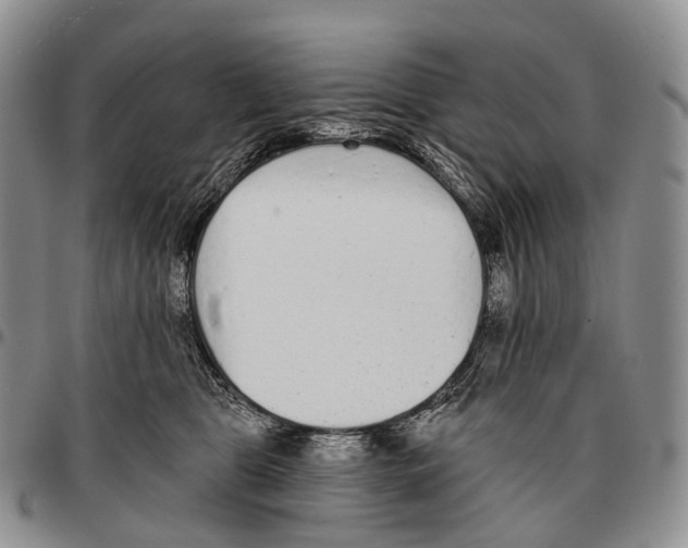 X0000096720469200803041405