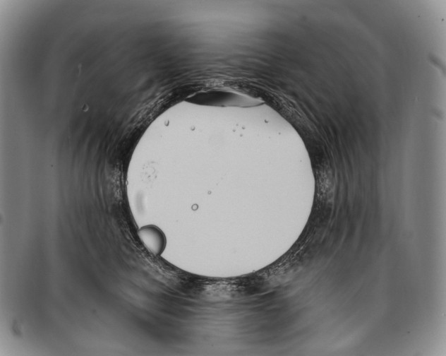 X0000096720470200803041405