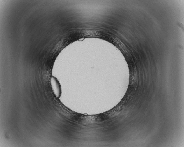 X0000096720473200803041405