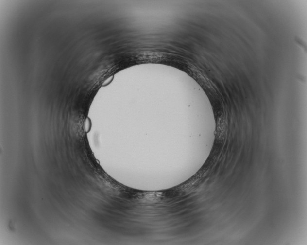 X0000096720474200803041405