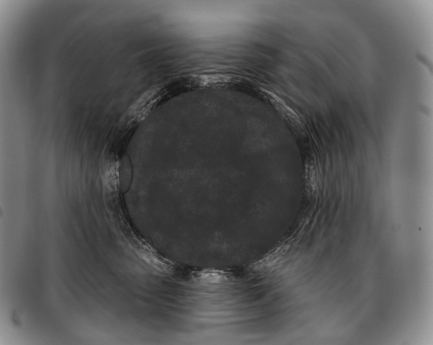 X0000096720475200803041405