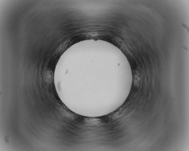 X0000096720476200803041405