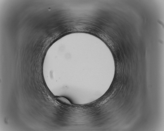 X0000096720481200803041405