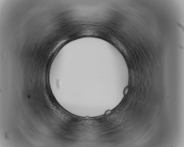 X0000096720482200803041405