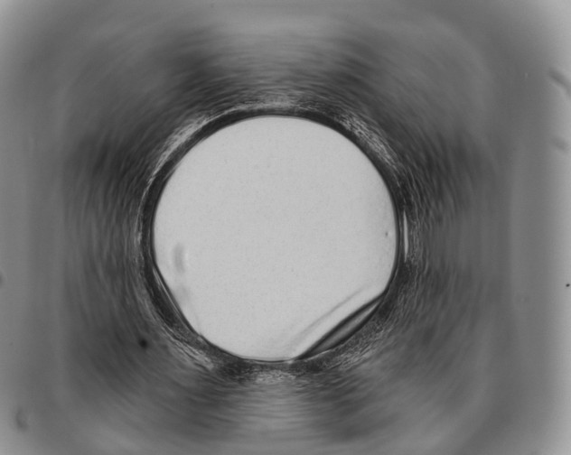 X0000096720483200803041405