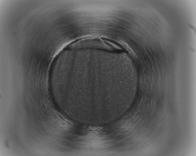 X0000096720484200803041405