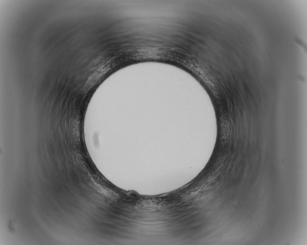 X0000096720489200803041404