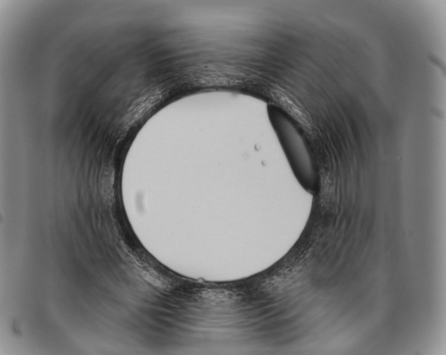 X0000096720490200803041404