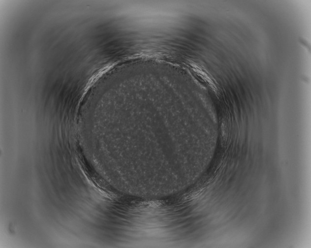 X0000096720492200803041404